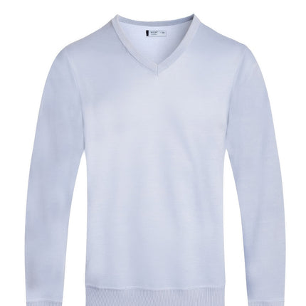 Solid V-neck Sweater